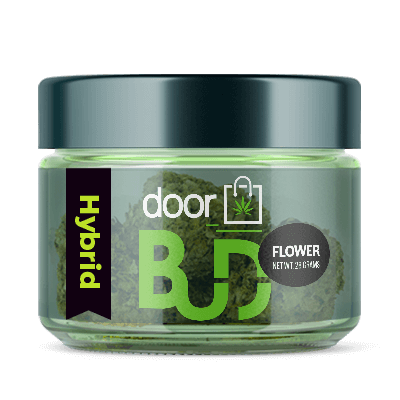 buy hybrid online jar 2