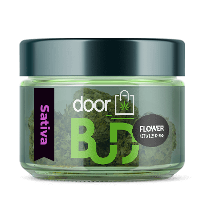 buy sativa online jar