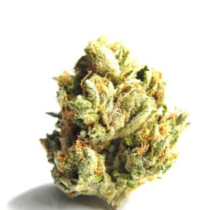 super silver sativa weed strain 1200