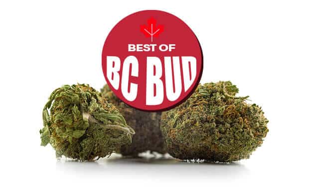 Buy BC Cannabis