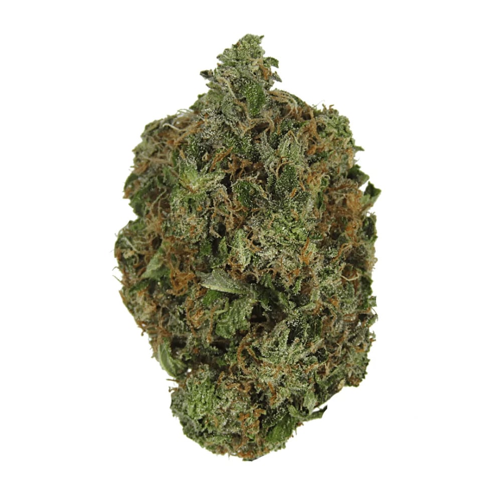 master pink hybrid strain
