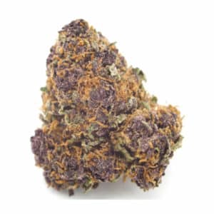 purple og indica strain