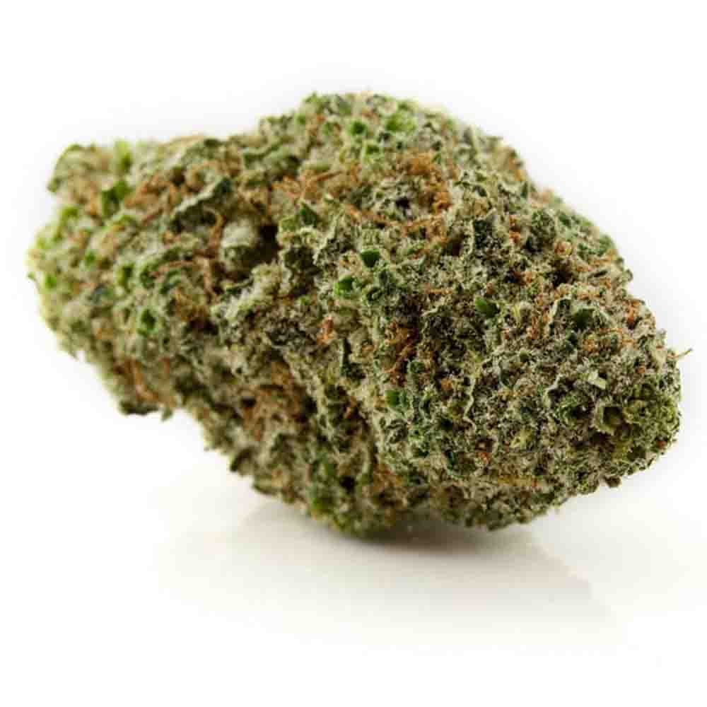 berry blast sativa strain 2