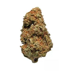 black zombie sativa strain