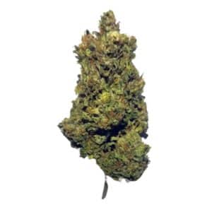 pine crack indica strain