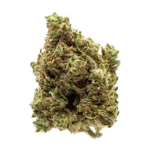 blue cheese indica strain