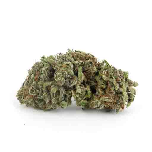 bubba love sativa strain