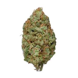 bubble gum sativa strain