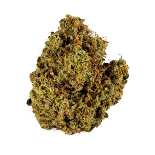 cherry chem indica strain