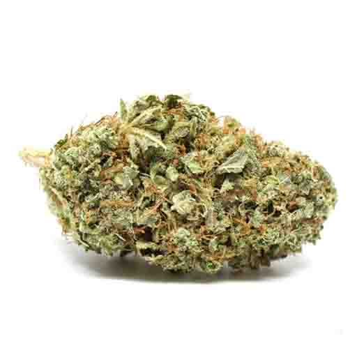 red congo sativa strain