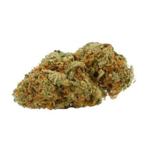 white gold indica strain