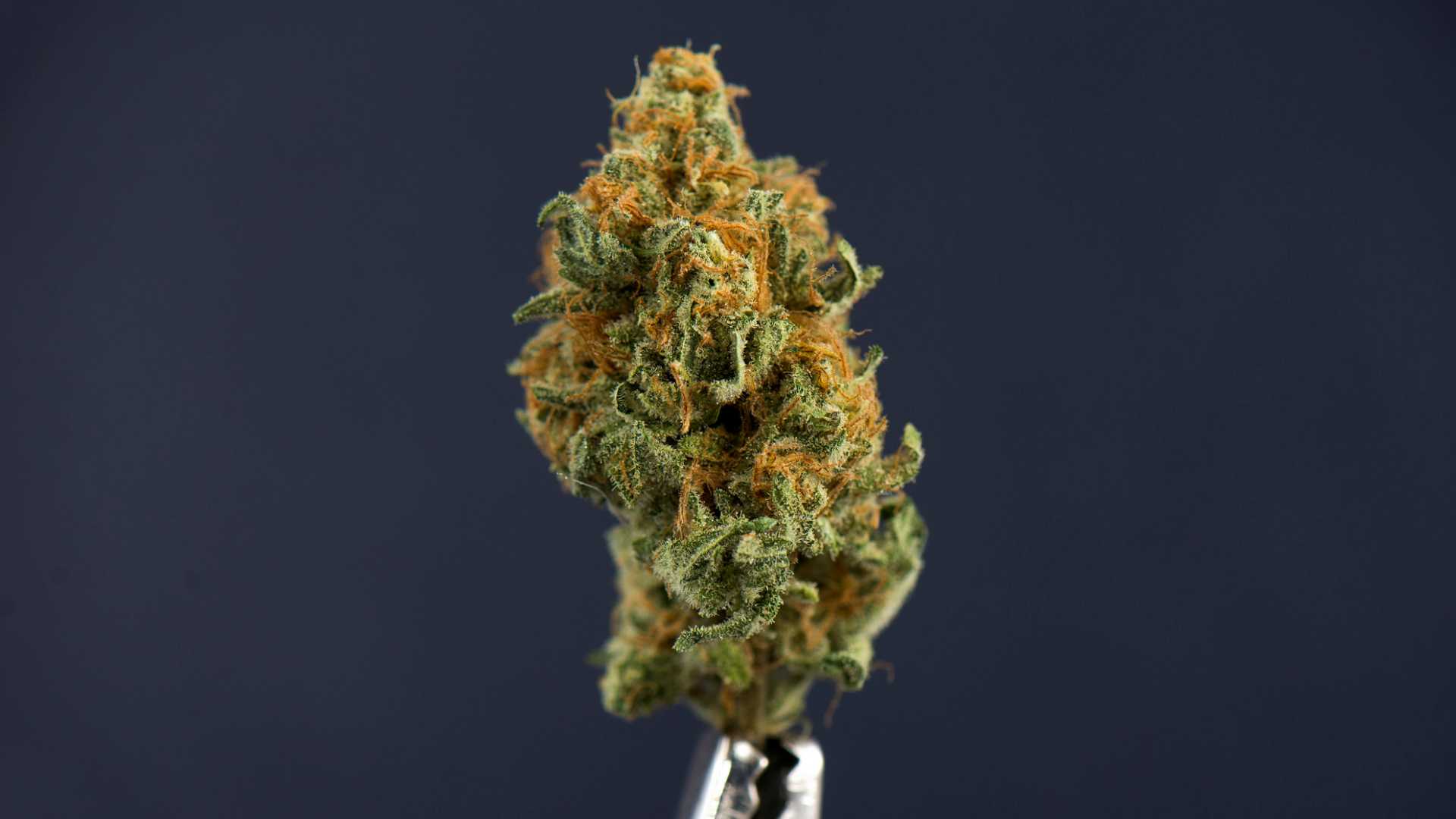 create your own cbd candles a step by step guide for mississauga residents