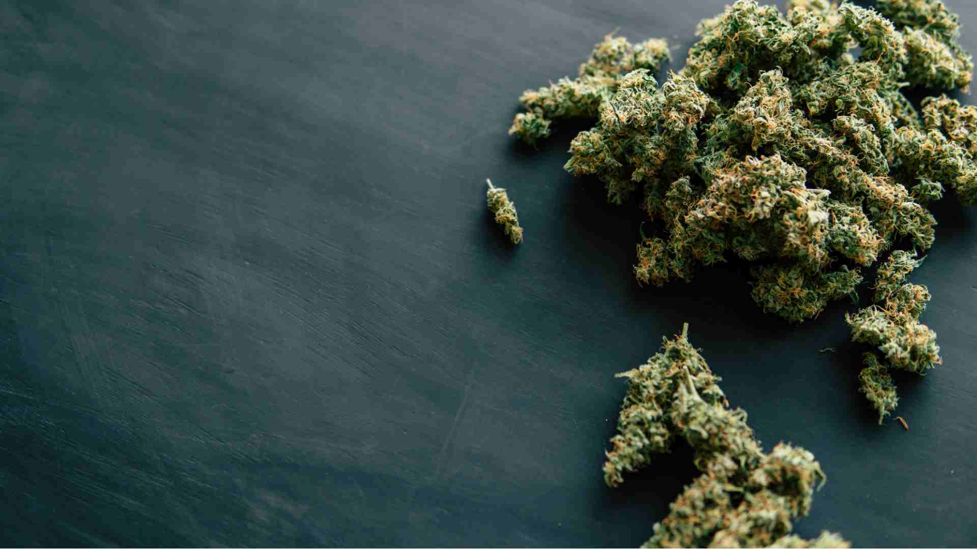 ditch the coffee embrace jack herer the natural energy booster