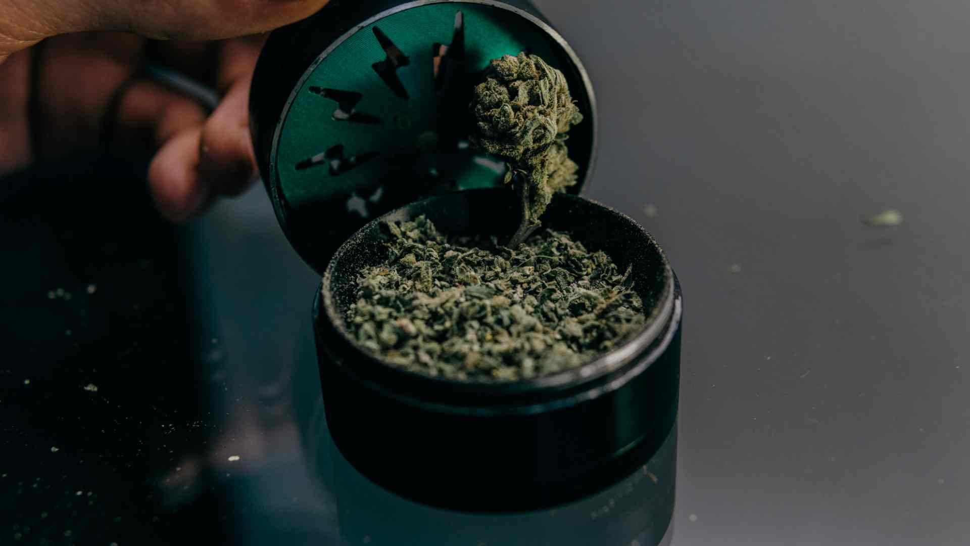 the future of cannabis exploring new research and innovations