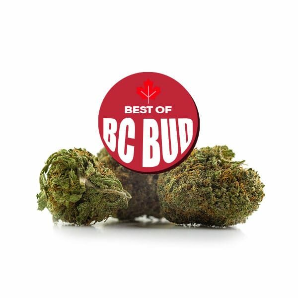 Buy BC Cannabis